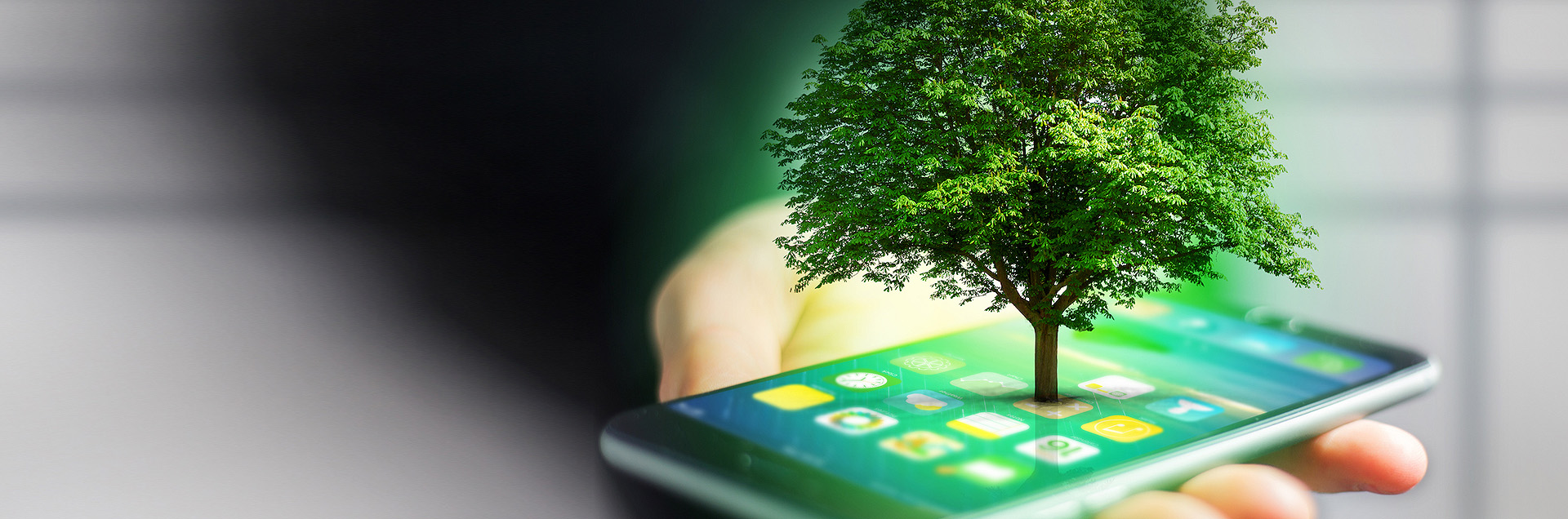 phone ECO